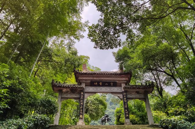重庆圣灯山森林公园