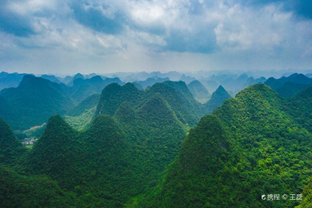 荔波茂兰喀斯特森林