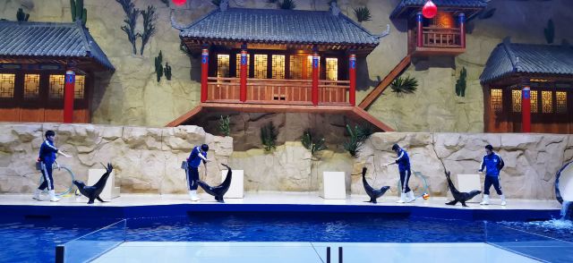 广西北海海底世界