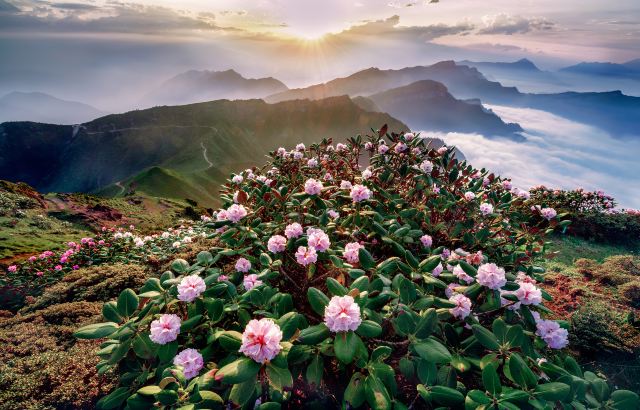 四川雅安牛背山