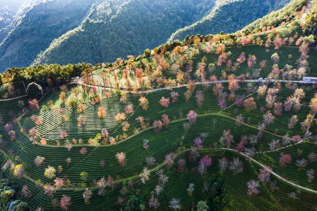 云南无量山国家级自然保护区