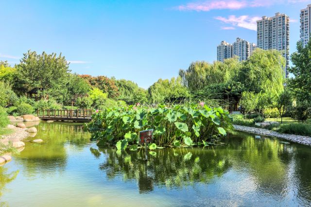 天津河东公园