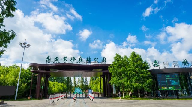 东台黄海森林公园