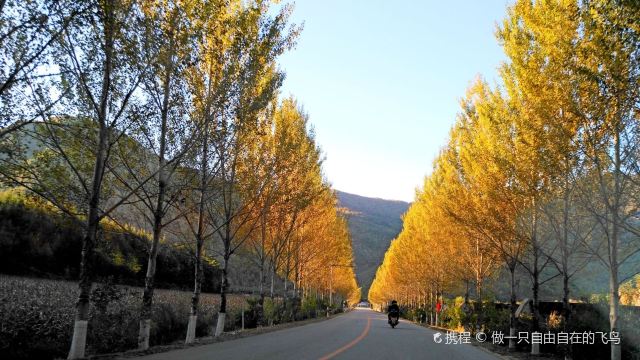 本溪中华枫叶路