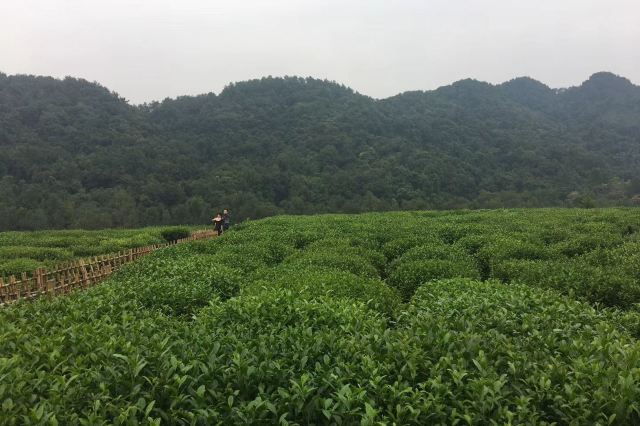 吉林天佛指山国家级自然保护区