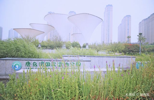 青岛唐岛湾