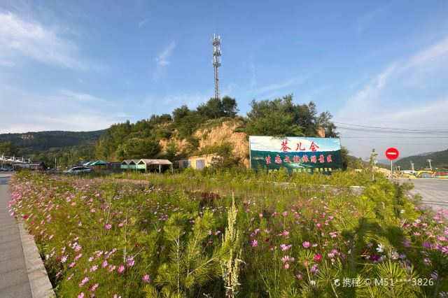 吕梁苍儿会旅游