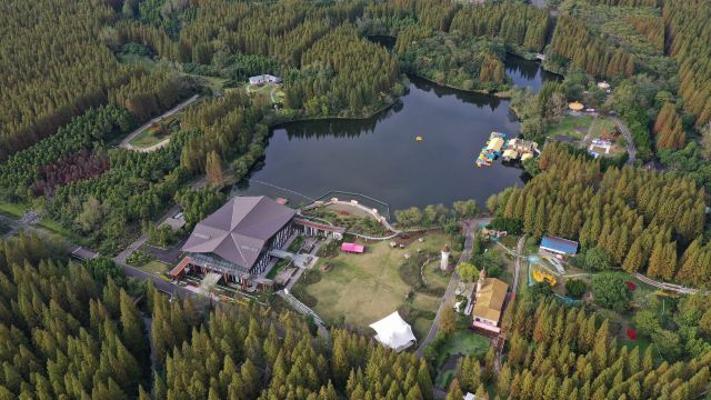 东平国家森林公园