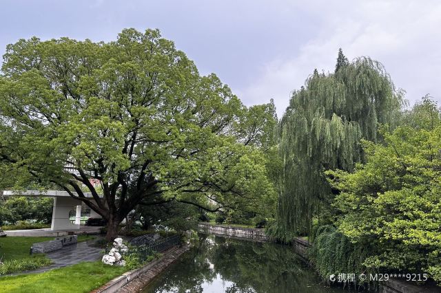 华东师范大学校园风光