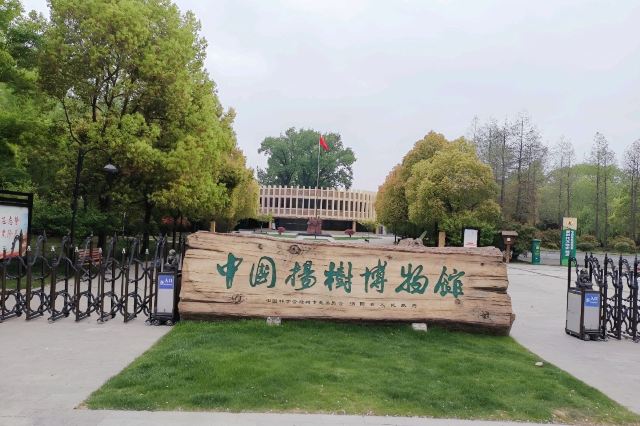 泗阳中国杨树博物馆