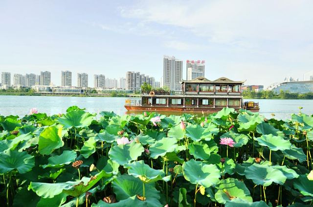 遂宁观音湖湿地公园
