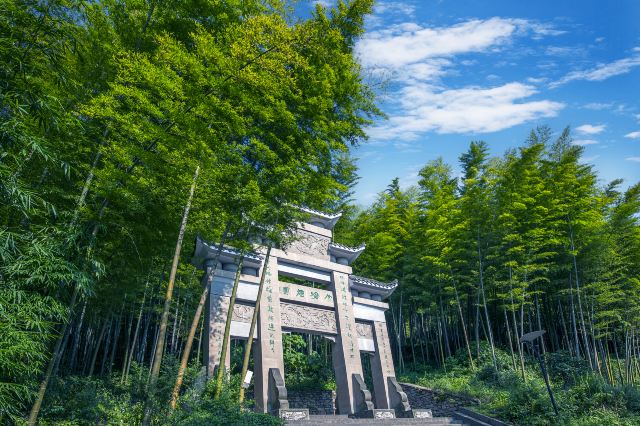重庆永川茶山竹海旅游