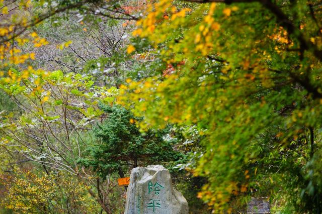 青川唐家河阴平古道