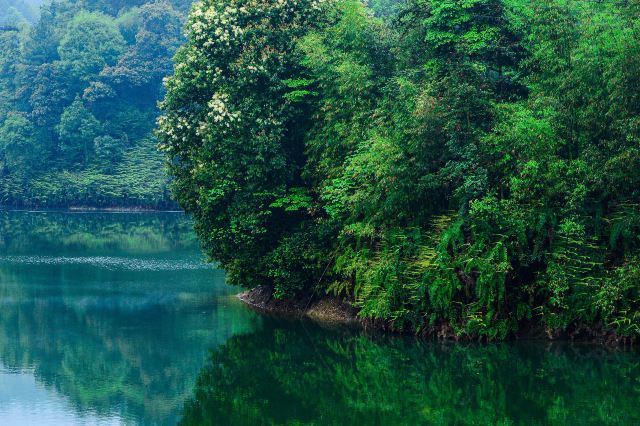 重庆璧山青龙湖风