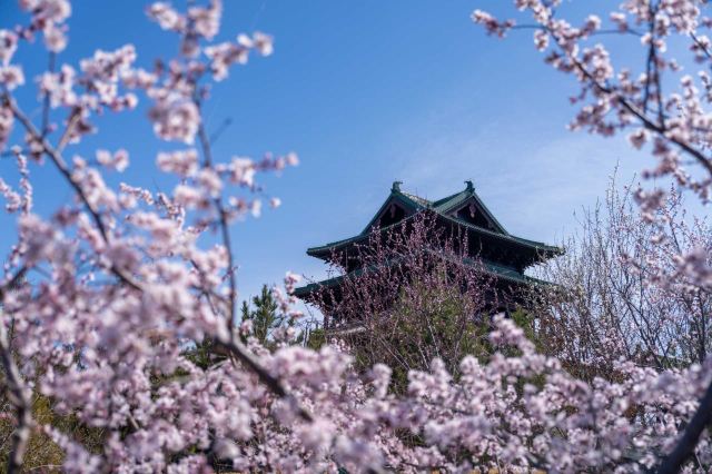 2019中国北京世界园艺博览会