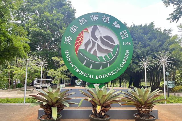 儋州海南热带植物园