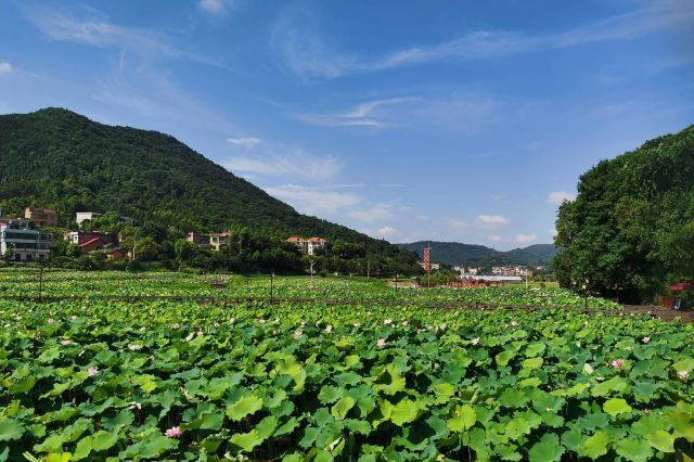 衡阳王船山故里生态文化旅游区
