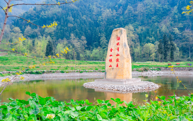 绵竹金色清平