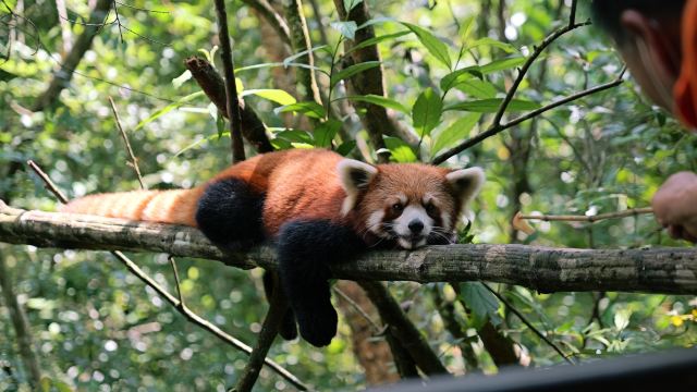 普洱太阳河国家公园