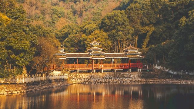 怀化钟坡风