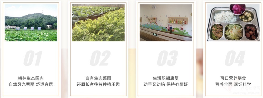 普亲养老·湘潭易俗河院机构介绍