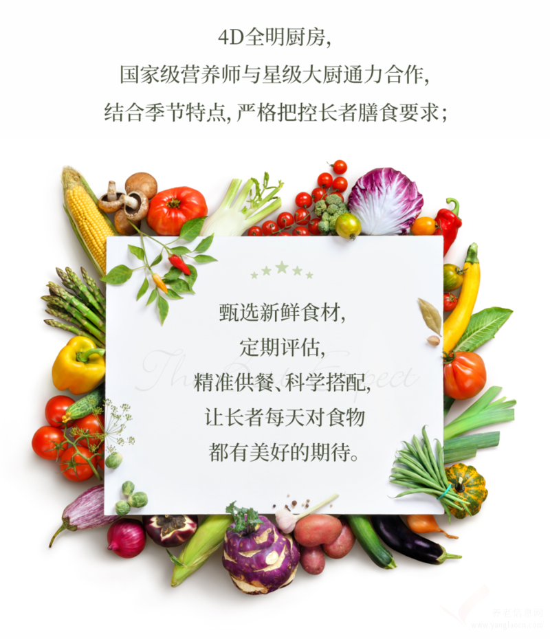 九九养老·玖悦颐养中心机构介绍