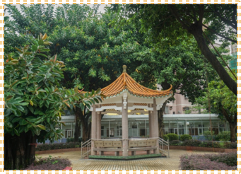 环境展示