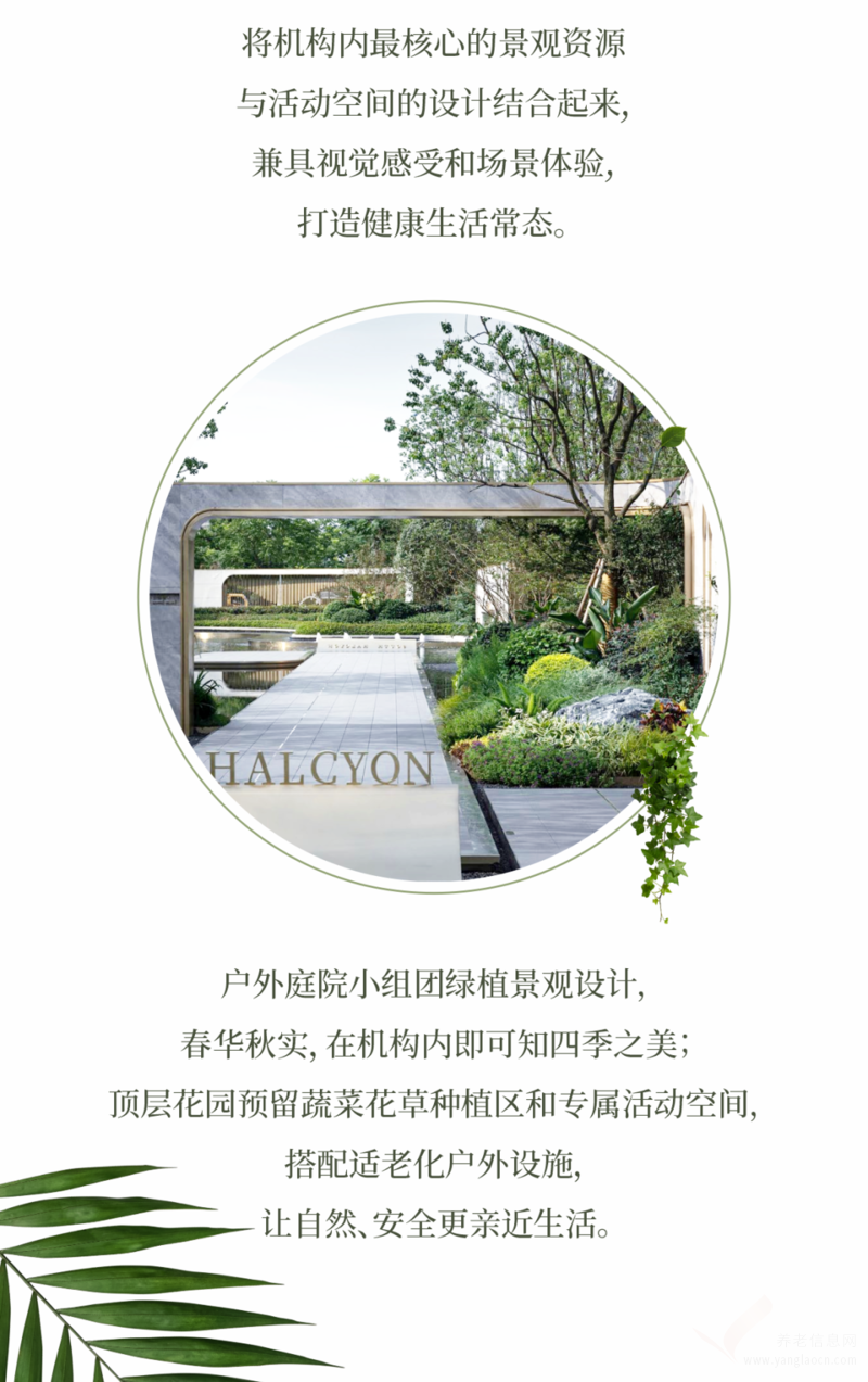 九九养老·玖悦颐养中心机构介绍