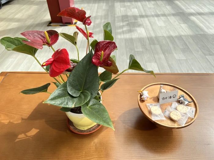展览路街道颐寿轩养老照料中心（北京康养·展览路项目）机构介绍
