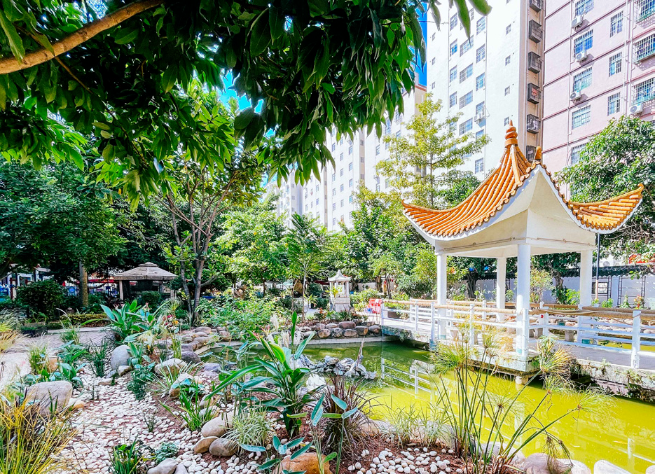 深圳市龙华区晚晴苑养护院机构介绍