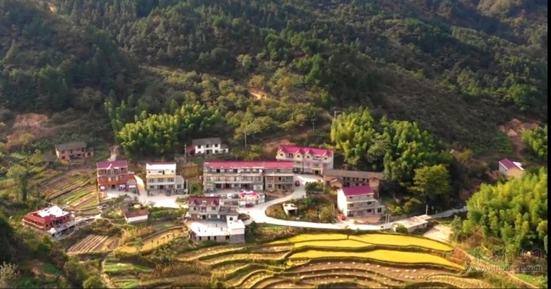 金榜乡村•岳西金榜自然村