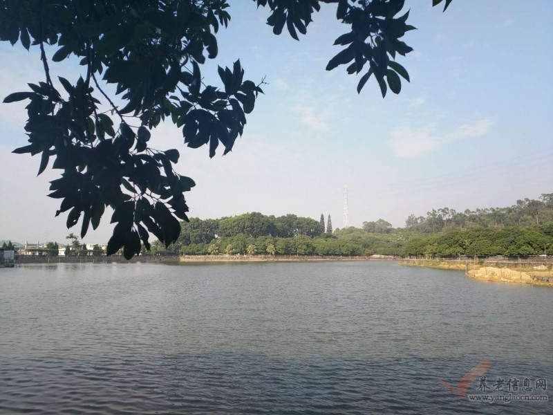 广弘和瑞管理康湖护养院