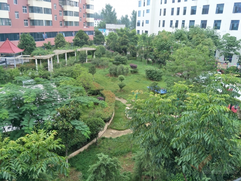 南阳市乐如家老年服务中心