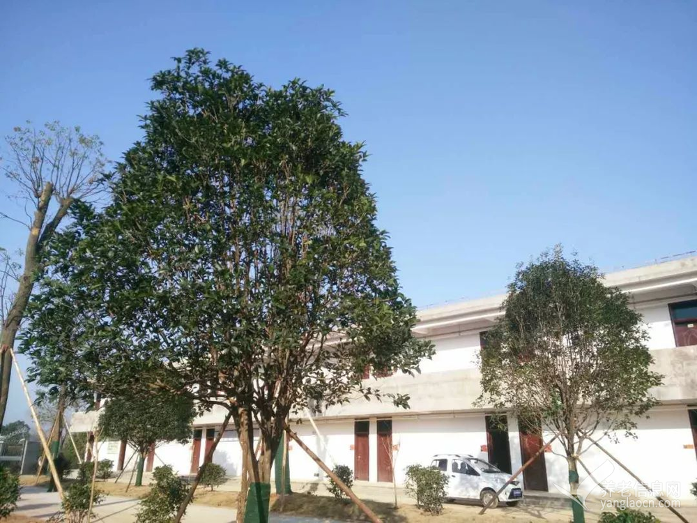 株洲市渌口区龙门镇敬老院