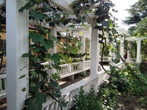 郑州市金水区颐百岁养老院
