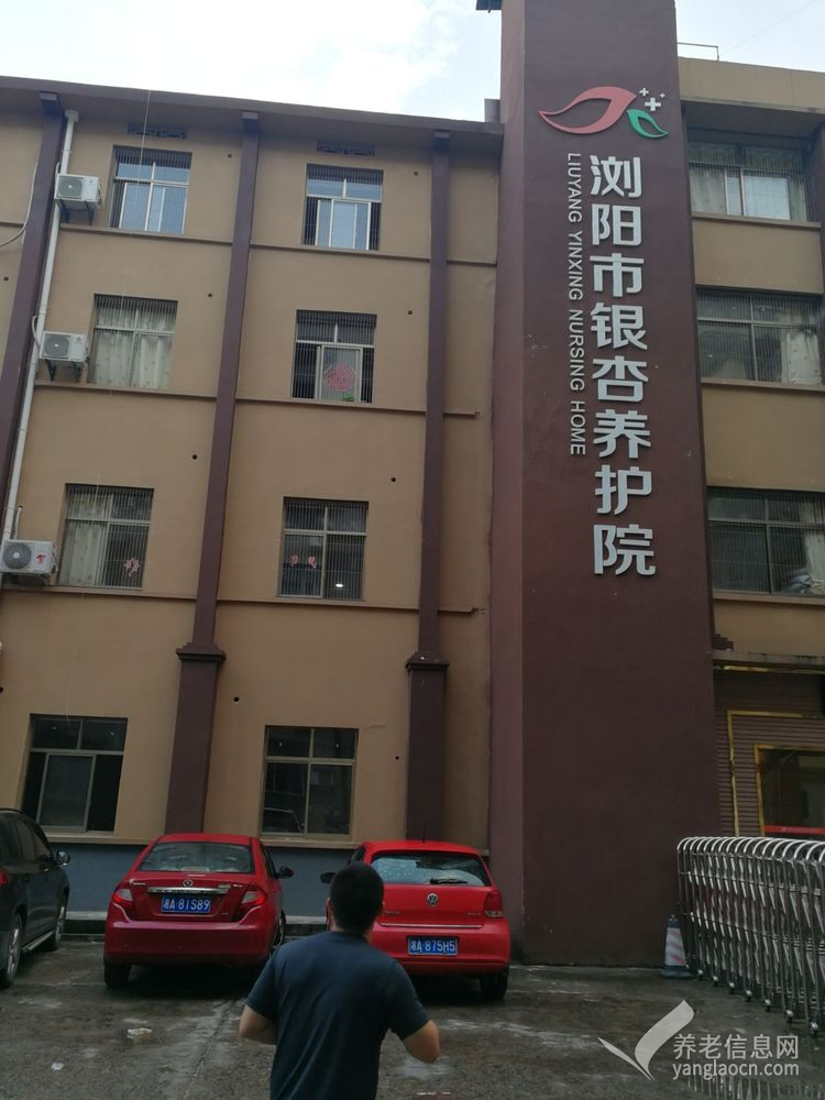 浏阳市银杏养护中心